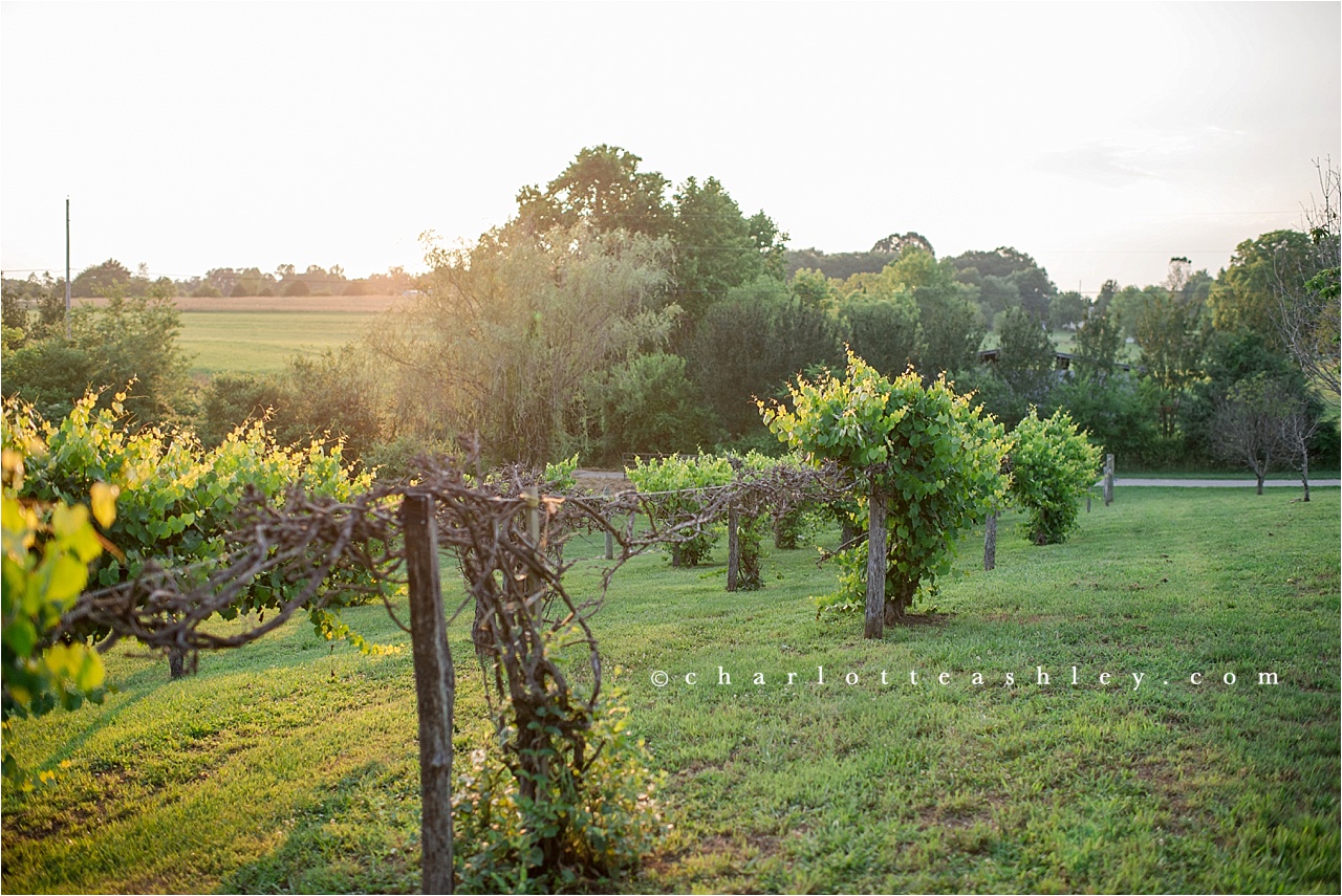 Farm Wedding | Charlotte Ashley Photography