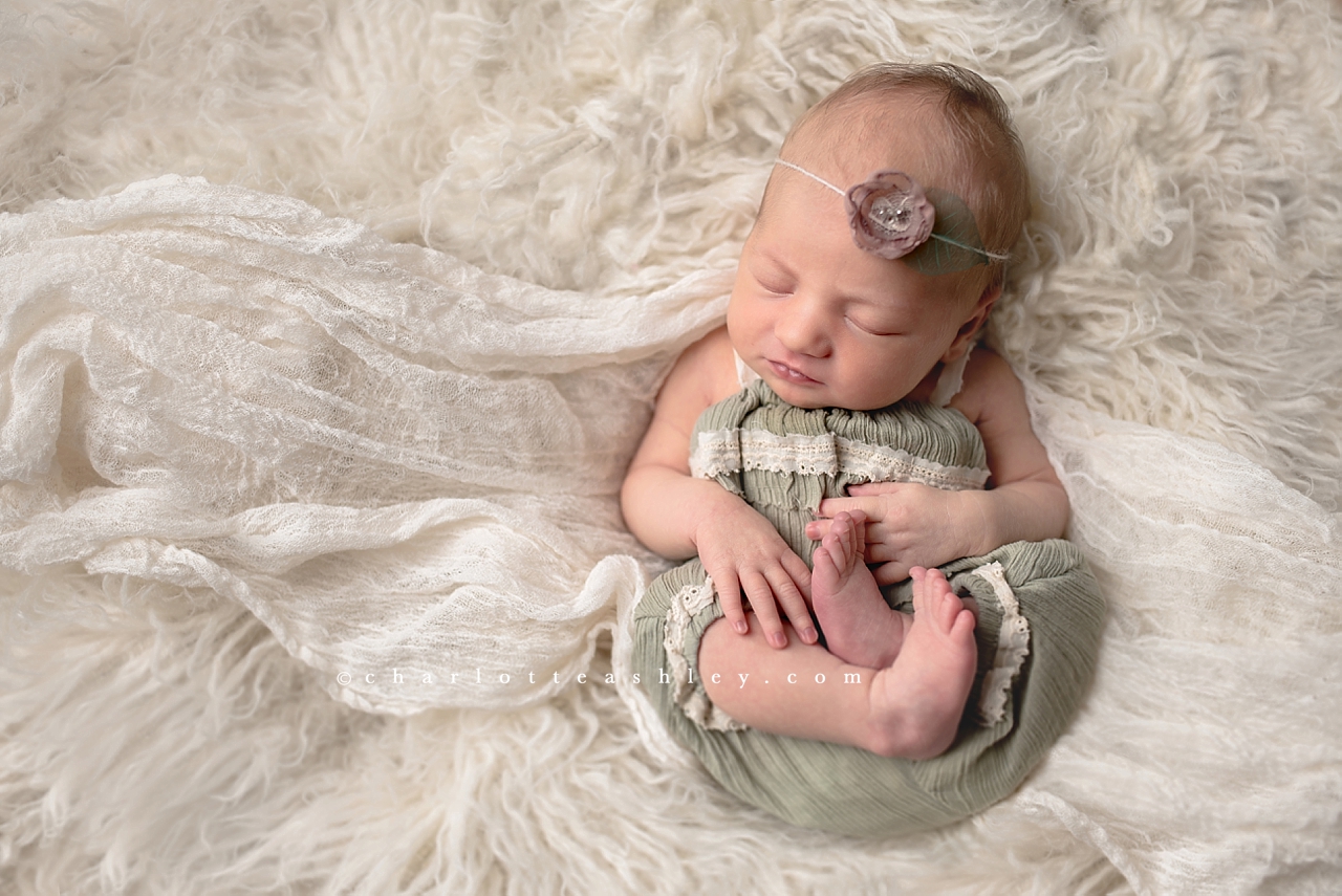 newborn photography | Charlotte Ashley Photography