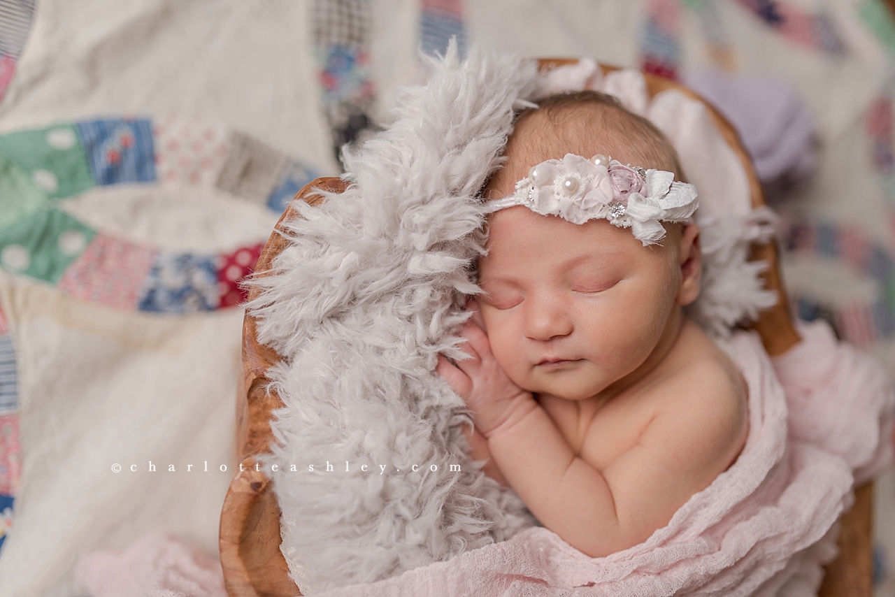 newborn photography | Charlotte Ashley Photography