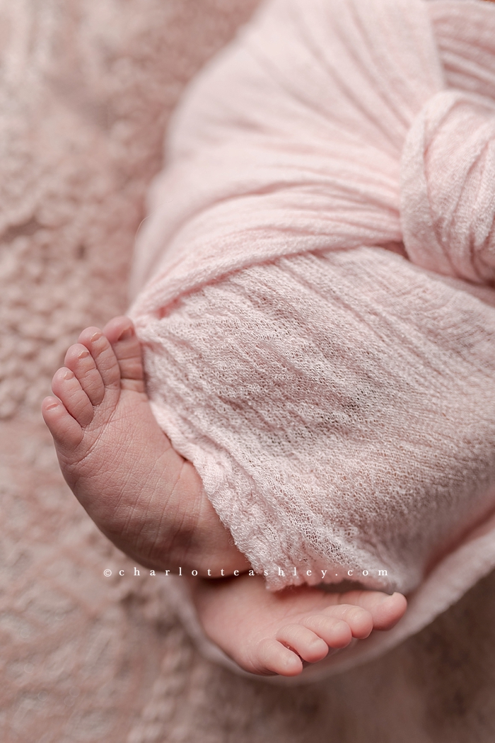 newborn photography | Charlotte Ashley Photography