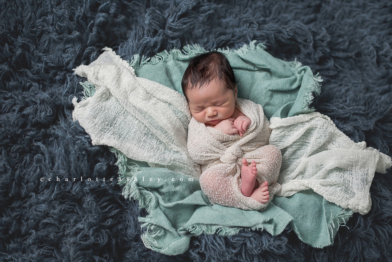 newborn | Charlotte Ashley Photography