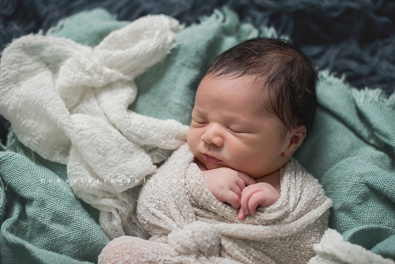 newborn | Charlotte Ashley Photography