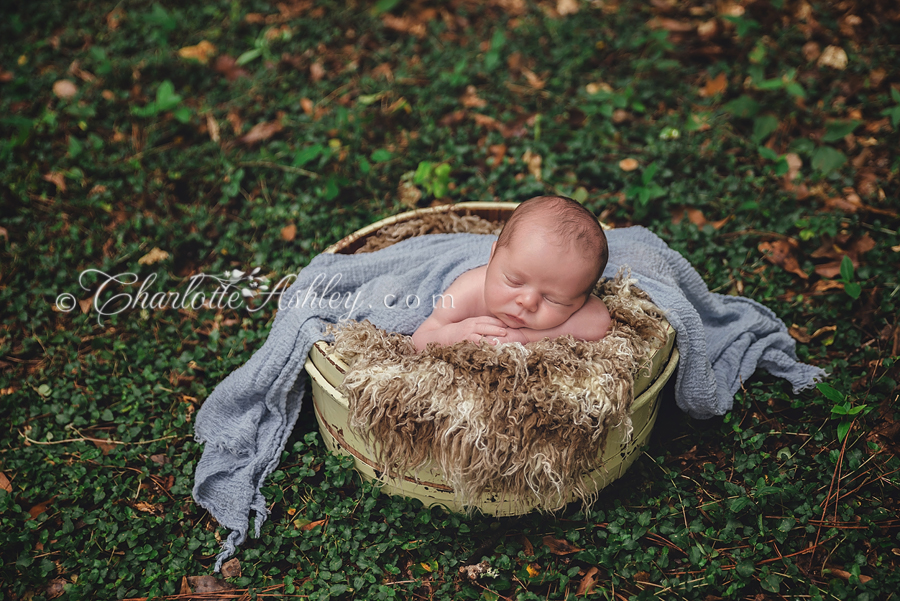 outdoor newborn | Lexington, SC | Charlotte Ashley Photography