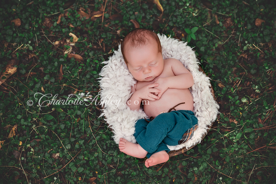 outdoor newborn | Lexington, SC | Charlotte Ashley Photography