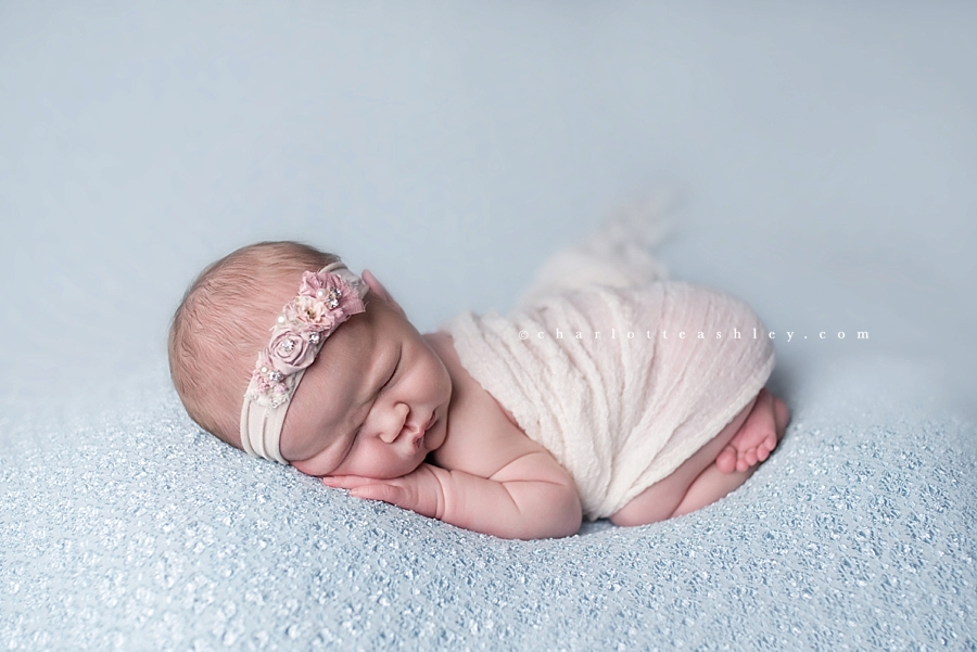 SC_Saluda_newborn_0002.jpg