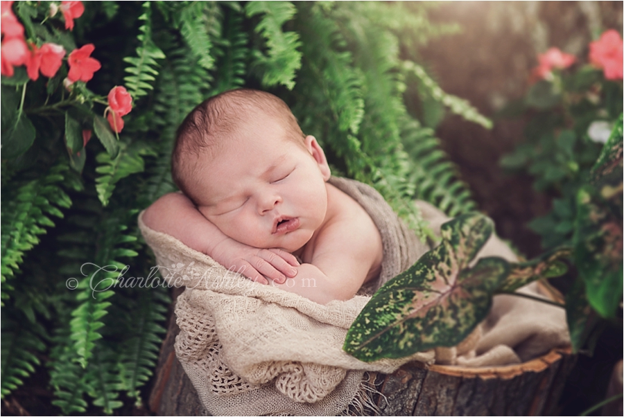 Robert | Fairfield County, SC Outdoor Newborn Session