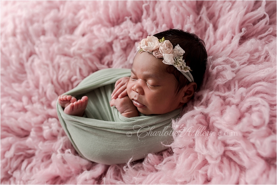 Olive_newborn__0009.jpg